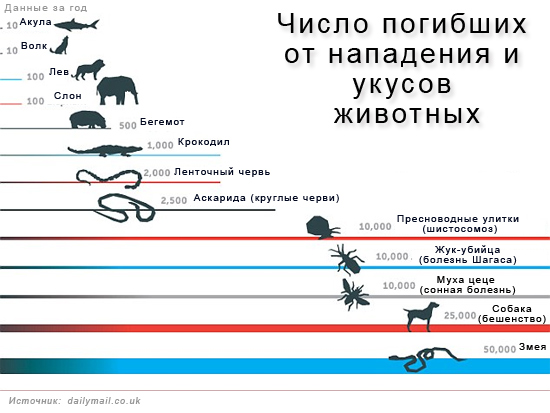 Число погибших от нападения и укусов животных